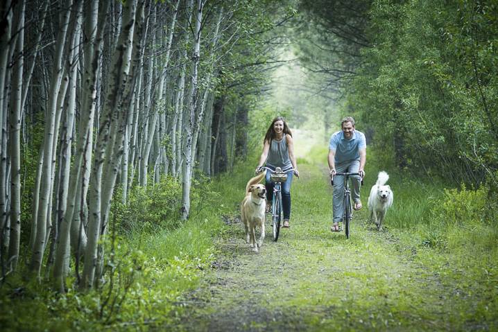 Engagement Portraits