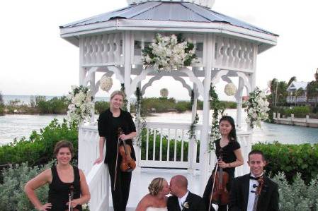 We are AAMUSICIANS.com preferred string quartet. You have the ability of creating the perfect group you have wanted from a duo to a 30 piece chamber orchestra.