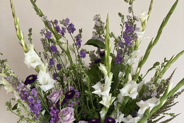 White and lilac