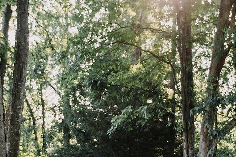The Farm at Carter Hill