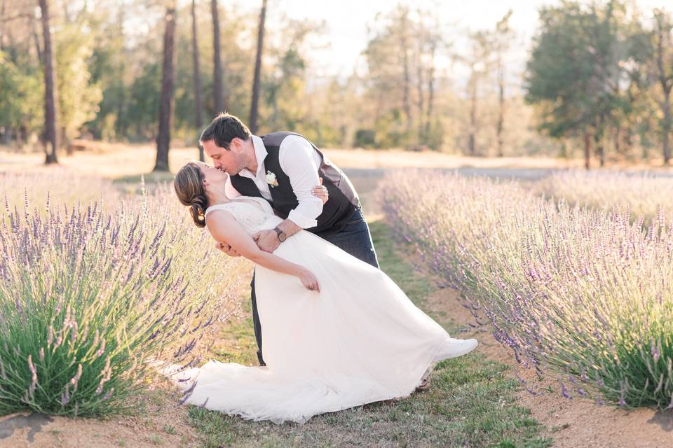 Lavender Field Wedding