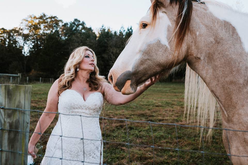 DC Wedding photo and Video