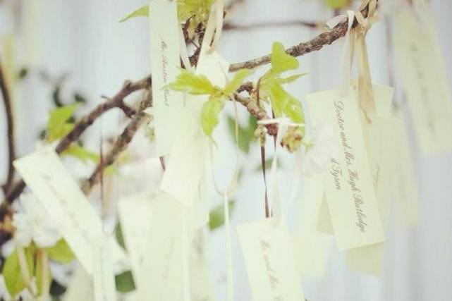 Simple white invitation with ribbon