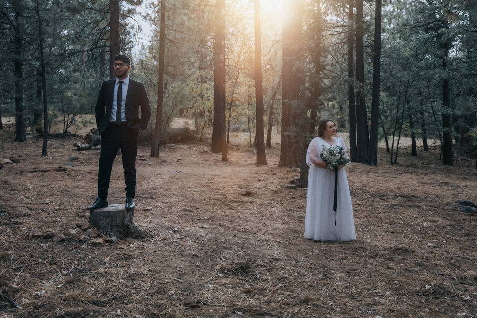 Elopement in Big Bear, CA.