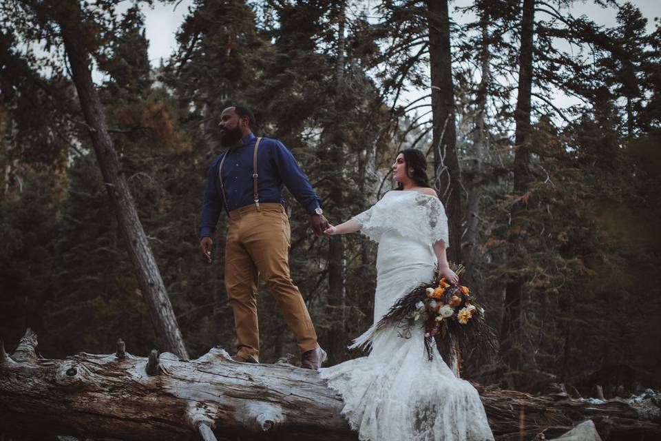 Elopement in Forest Falls