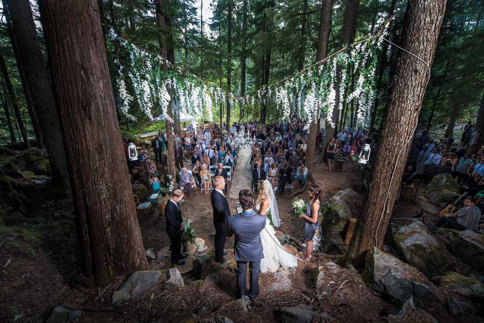 Loved this forest wedding