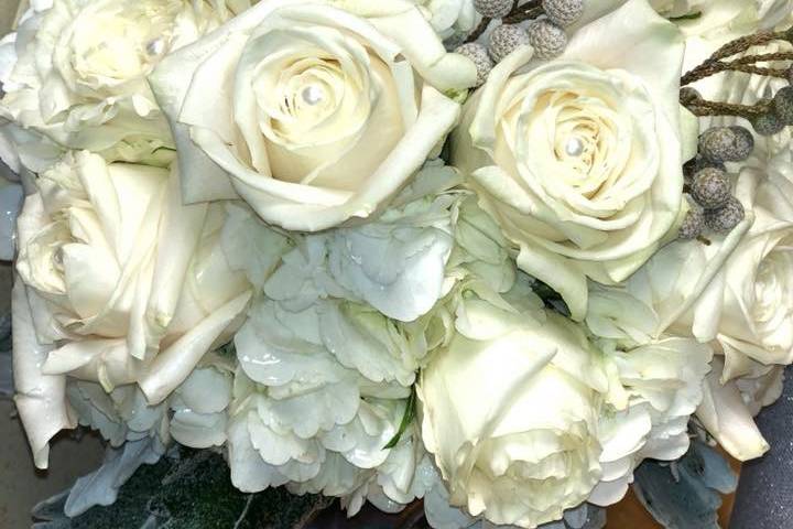 White rose and brunia