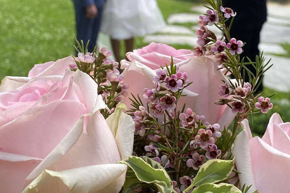 Backyard Elopement