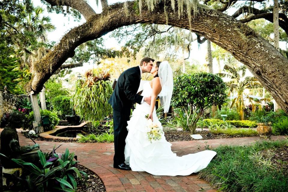 Our tree arch, one of many outdoor photo opportunity locations