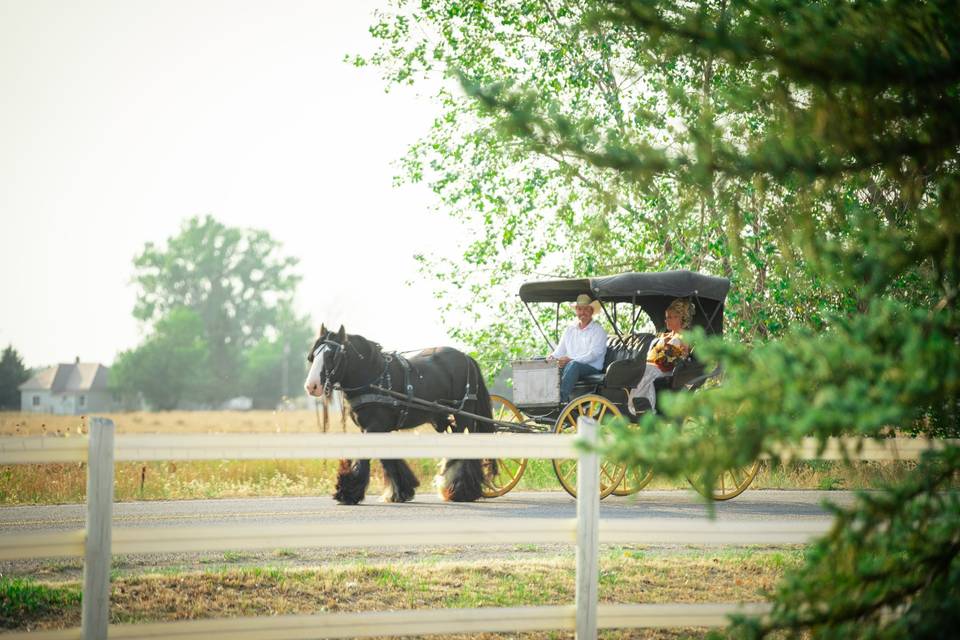 Wedding wagon 3