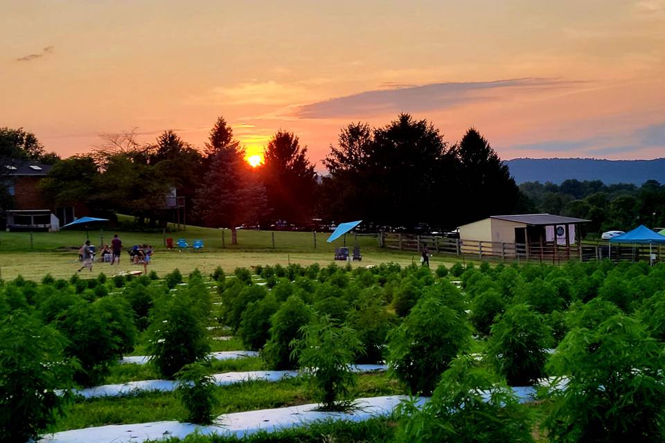 Blue ridge mountain sunset