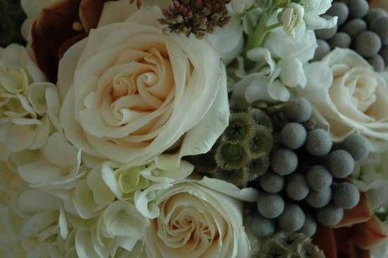 Distinctive Designs Floral