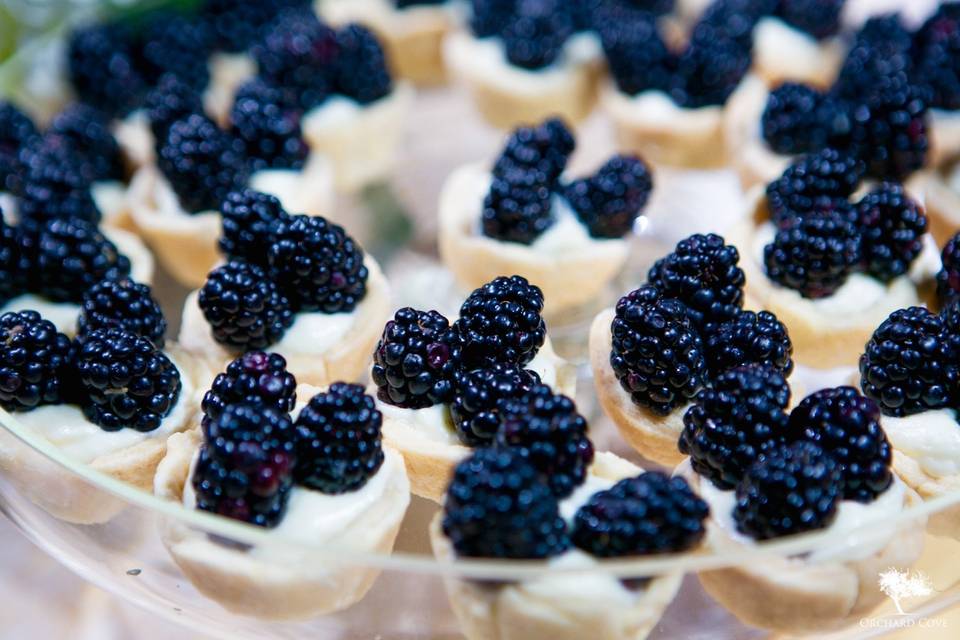 Blackberry fruit tartlets