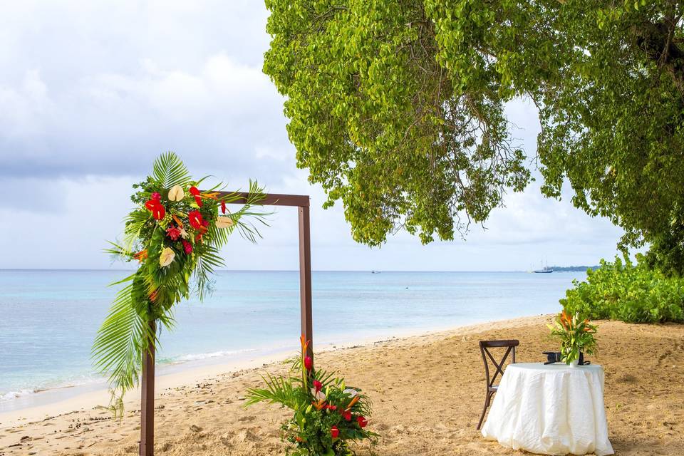 Beach Wedding CeremonyBarbados