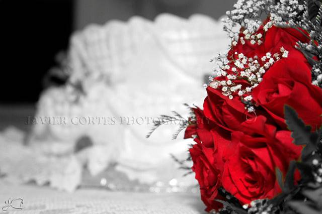Cortes Collection