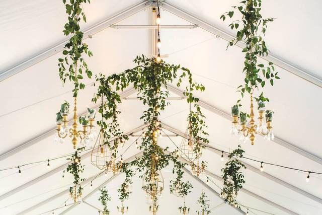 Reception Space