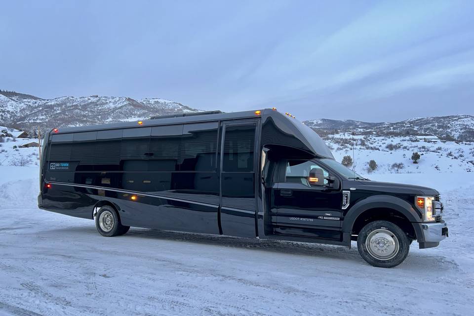 27 Passenger Luxury Bus