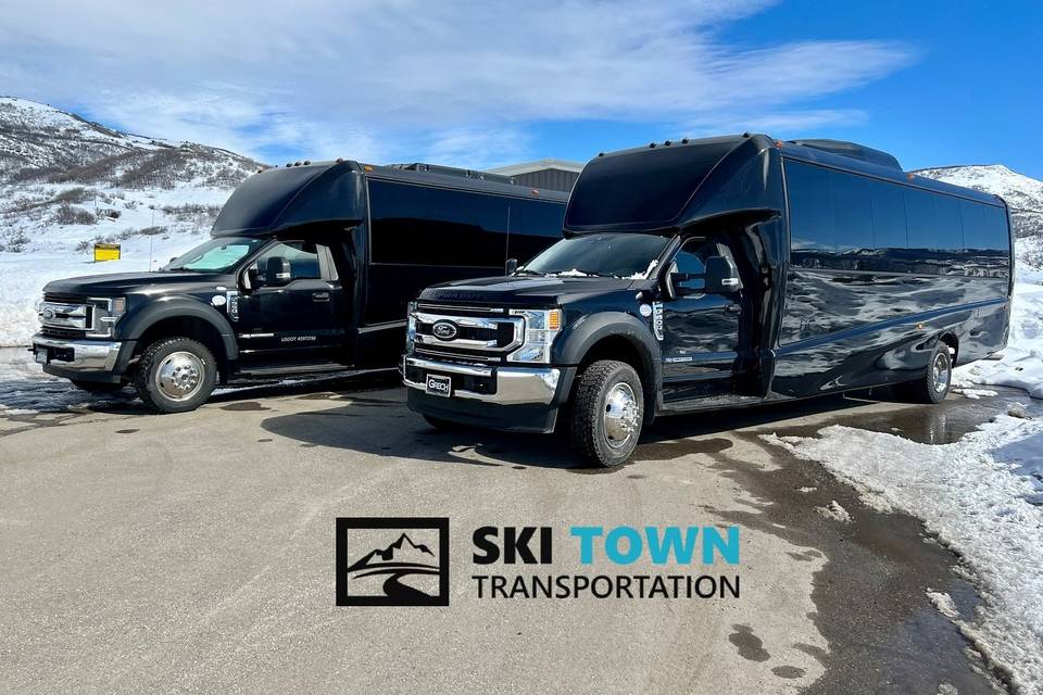Ski Town Transportation