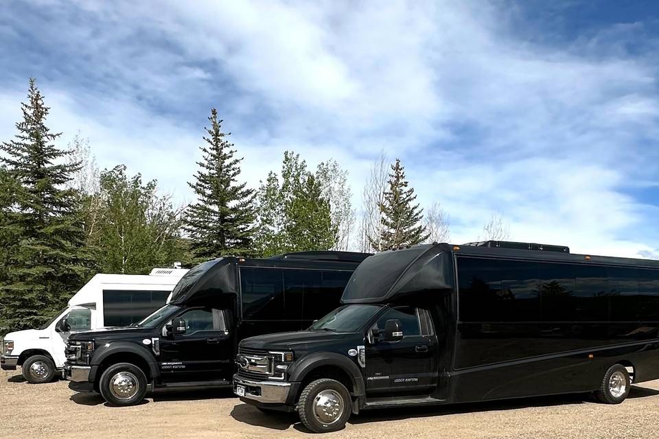 Ski Town Transportation