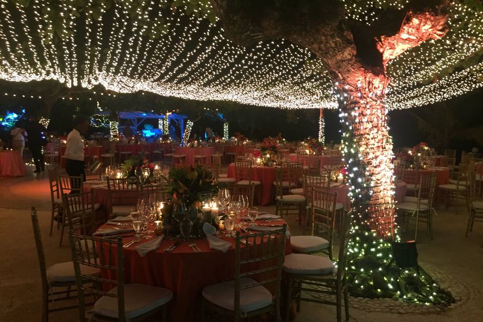 String lights above the venue