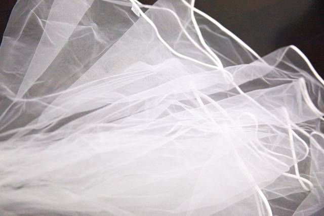 Veil Detail