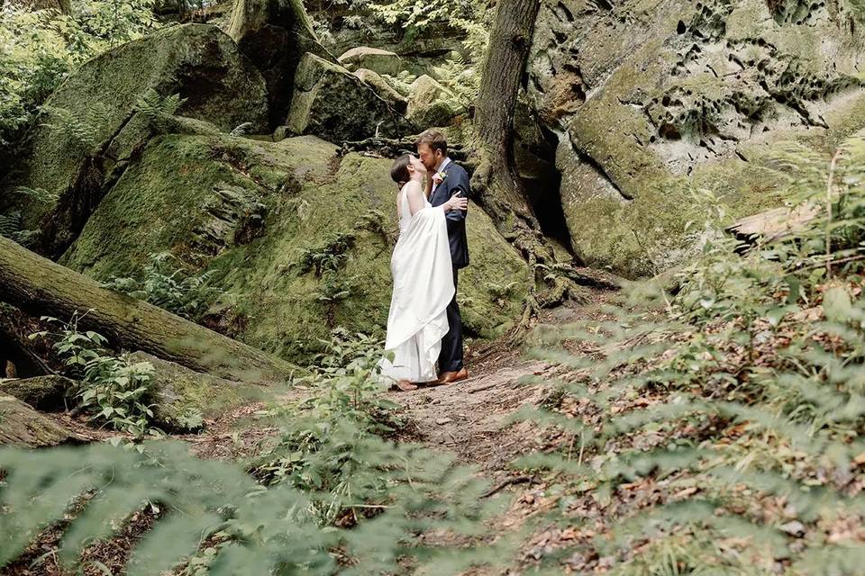 In a Forest