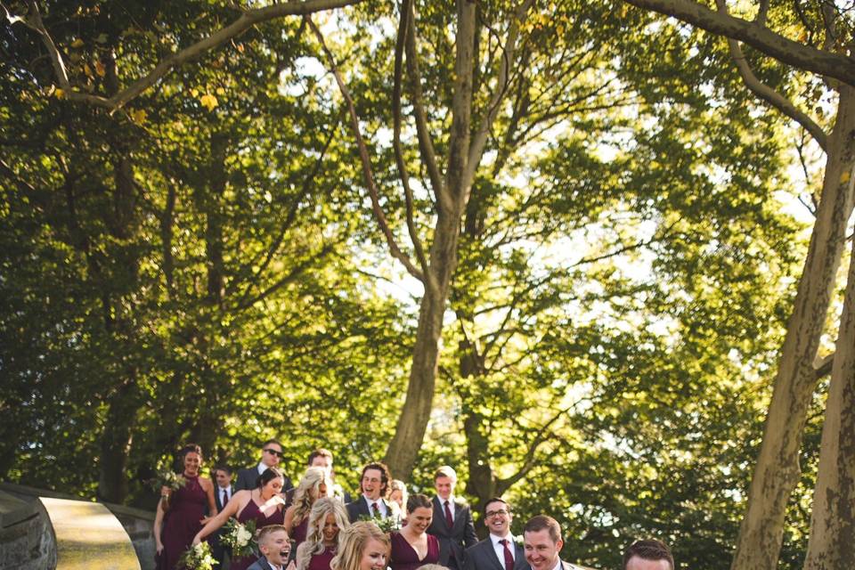 The wedding party - Stephen Falbo Photography