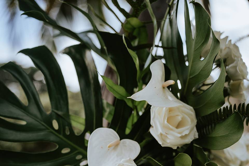 Arch Arrangement
