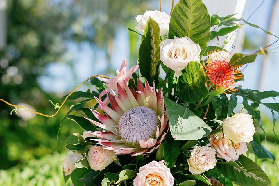 Arch Arrangement