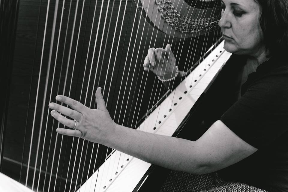 Harpist playing sweet music