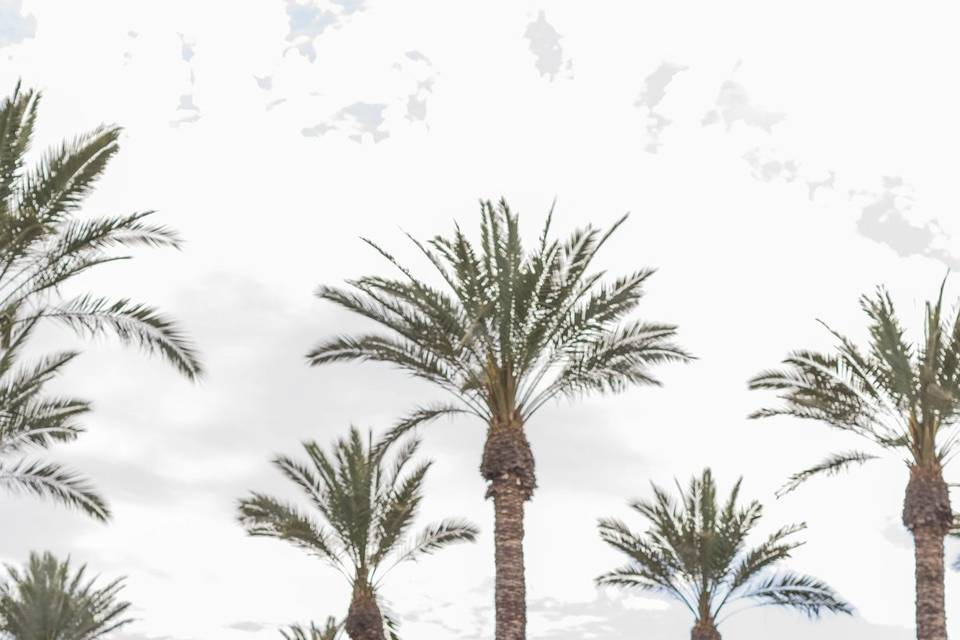 Gainey Ranch