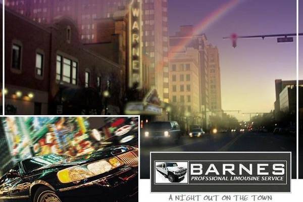 Barnes Professional Limousine Service
