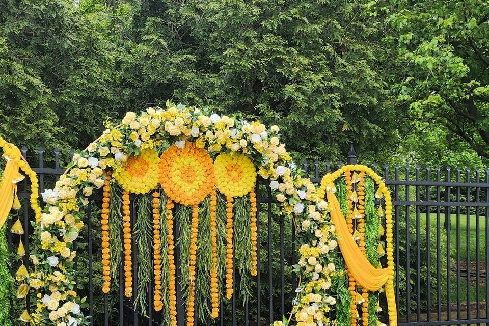 Haldi
