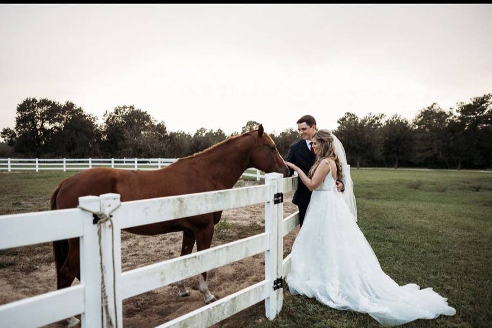 Bending Branch Ranch