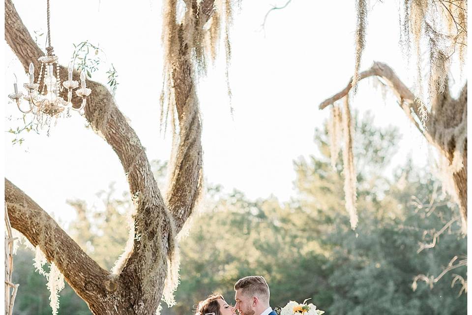 Bride and bridesmaids