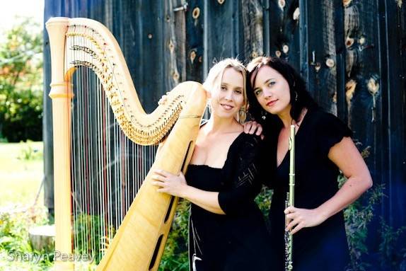 Harpist and flutist