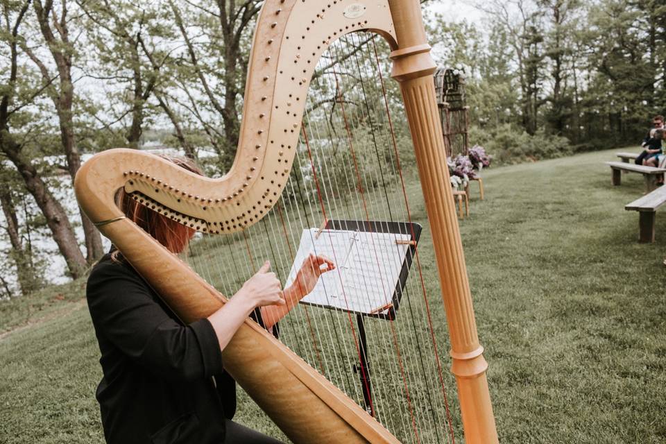 Harpist and flutist
