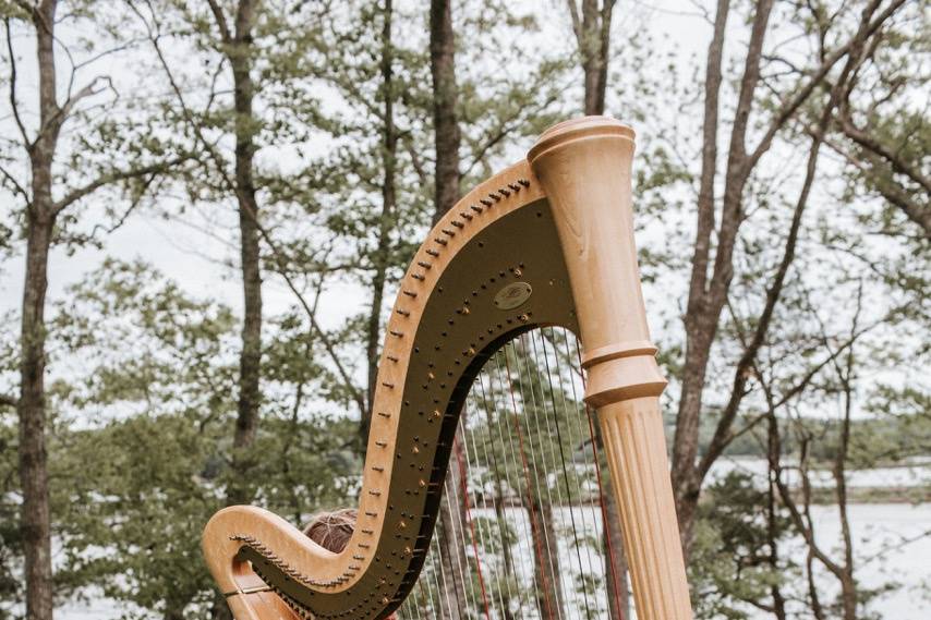 The harp