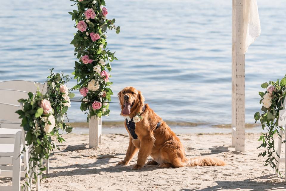 Best Man