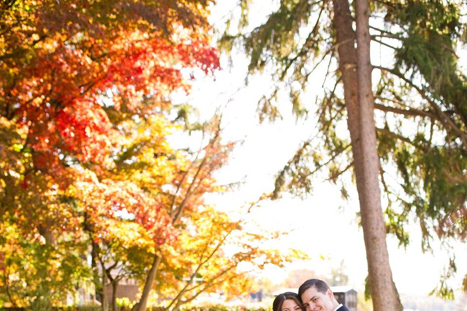 Fall Foliage