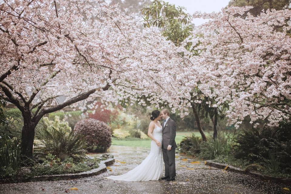 Cherry blossoms + this beautiful couple