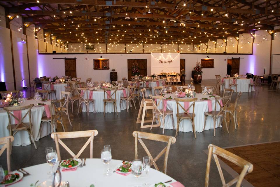 Wedding Ceremony for 300 Guest