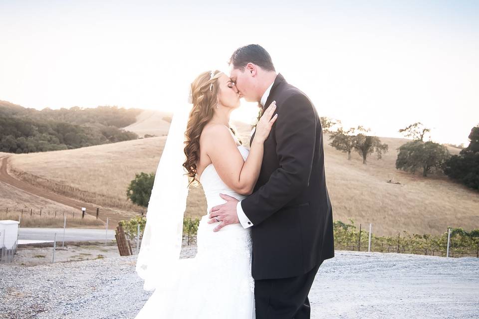 Kisses under the veil - Donna Beck Photography