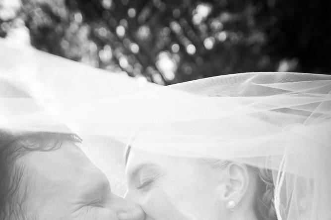 Kisses under the veil - Donna Beck Photography