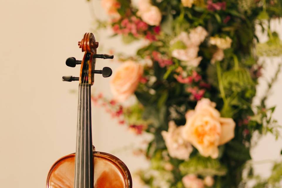 Wedding Violin