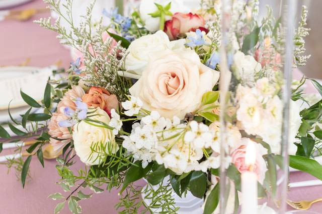 Katharine Mann Events