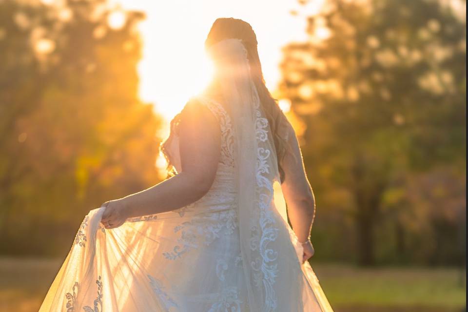“Golden Hour”… lovely day!
