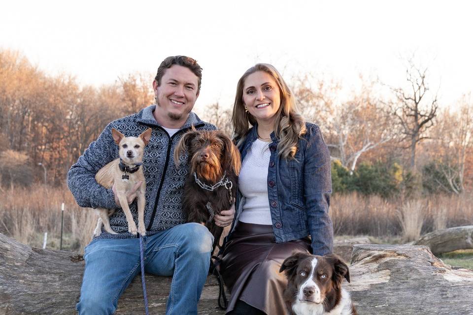 Dogs make the photo's!