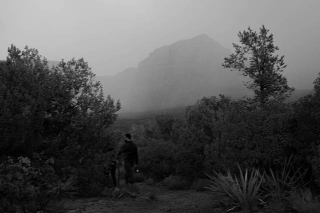 Melody Anderson Photography