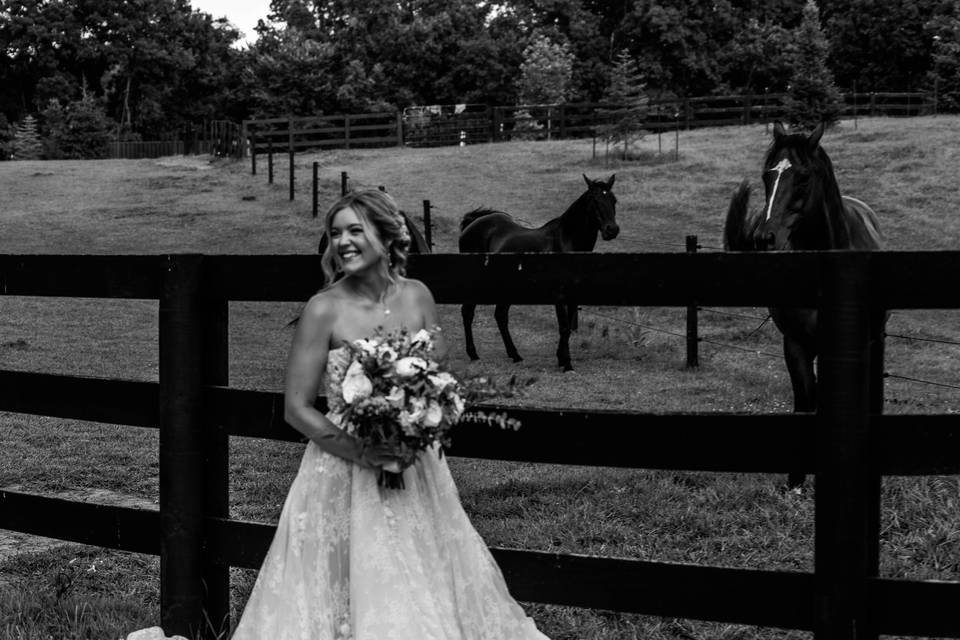 Stillwater Stables & Stays